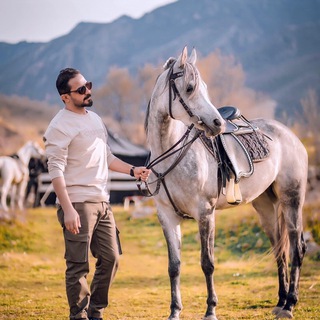 لوگوی کانال تلگرام sssssa321 — ﮼تل ﮼الورد 🥀🖤