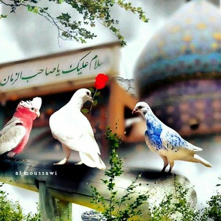 لوگوی کانال تلگرام sssssssss_99 — قناة انوار السجاد &عليه السلام &