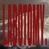 Логотип телеграм канала @sstarlabo — labotomy.