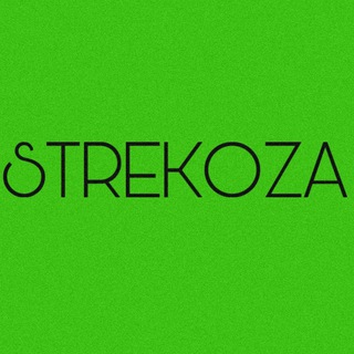 Логотип телеграм канала @sstrekkoza — Strekoza
