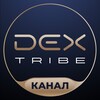 Логотип телеграм канала @st4keclub — StakeClub | Блог инвестиционного клуба