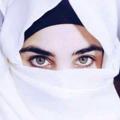 Logo saluran telegram sta_liwany — ستا_ليونی Sta_liwany