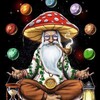 Logo of telegram channel stackpackoraginal — Magic Mushroom psychedelic🌈💀