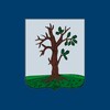 Логотип телеграм канала @stadmo — Стародубский округ