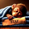 Logo of telegram channel staf13official — STAF