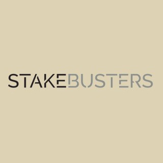 Logo of telegram channel stakebusters_com — 𝕊𝕋𝔸𝕂𝔼𝔹𝕌𝕊𝕋𝔼ℝ𝕊🧠👈