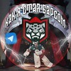 Логотип телеграм канала @stalbarsom — Как я стал «Барсом»
