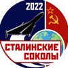 Логотип телеграм канала @stalins_sokol — Сталинские соколы