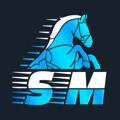 Logo saluran telegram stallionmaster — 🏇🏻 StallionMaster[USA] 🇺🇸 FREE