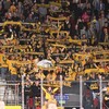 Логотип телеграм канала @stalnyerysi1956 — Фан-движение «Стальные рыси»