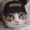 Логотип телеграм канала @stamppc — stamp