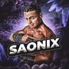 Logo of telegram channel standleosaonix — SaoniX