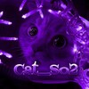 Logo of telegram channel standofchikcatso2 — Cat_So2🦁