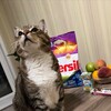 Логотип телеграм канала @stanloxer — Stanlox