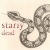 Логотип телеграм канала @stariydeadbeats — stariydead beats