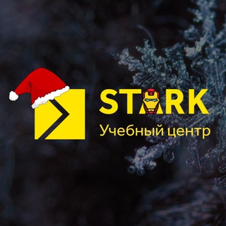 Telegram kanalining logotibi starkecenter — STARK Education