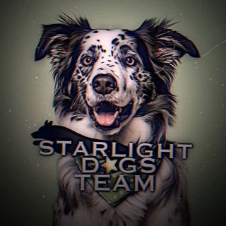 Логотип телеграм канала @starlightedogteam — 𝙎𝙩𝙖𝙧𝙡𝙞𝙜𝙝𝙩_𝙙𝙤𝙜𝙨_𝙩𝙚𝙖𝙢🌤