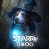 Logo of telegram channel starr_dogchannel — 𝒔𝒕𝒂𝒓𝒓.𝒅𝒐𝒈ᶜʰᵃᶰᶰᵉᶫ