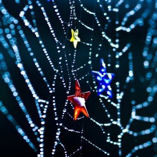 Логотип телеграм канала @stars_web — Звёздная паутина.