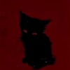 Логотип телеграм канала @starsnoud — noud