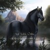 Логотип телеграм канала @starstableonlinerb — Star Stable Online • спойлеры, новости, коды.