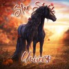 Логотип телеграм канала @starstableuniverse — Star Stable Universe