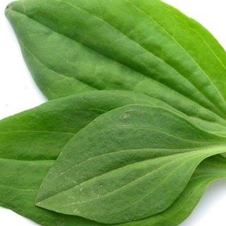 Логотип телеграм канала @startup_kb — В