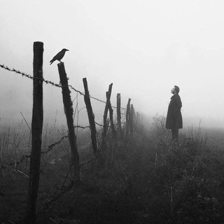 Telegram channel E**стика logo