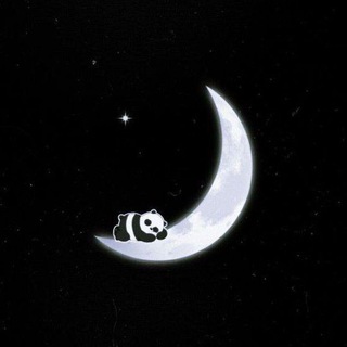Telegram kanalining logotibi status_videoo — _Black photo_🖤