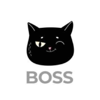 Telegram channel CATBOSS | Про карʼєру та ТОП-менеджмент logo