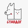 Логотип телеграм канала @stavdog26 — Приют "Ставдог"