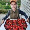 Логотип телеграм канала @stavjgoda — Ставропольская ягода
