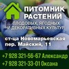 Логотип телеграм канала @stavsagency — Саженцы Ставрополь