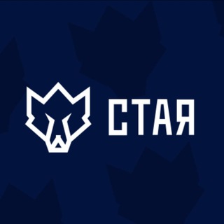 Логотип телеграм канала @staya01mar — Лига дисциплины