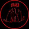 Логотип телеграм канала @stayabureau — STAYA bureau
