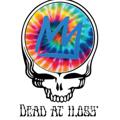 Logo saluran telegram stayconsciouspsychedelics — Stay conscious(Deadhead psychedelics🍄)