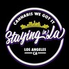 Telegram channel STAYINGINLA logo