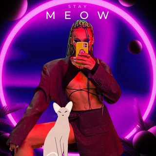 Логотип телеграм канала @staymeow1 — Stay Meow