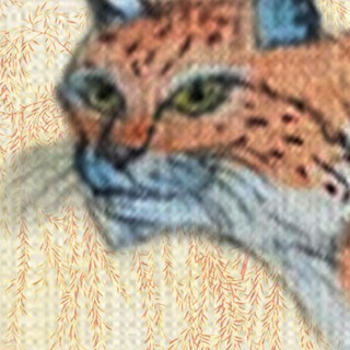 لوگوی کانال تلگرام stayzi4schannel — stayzi4's channel животные и другие существа