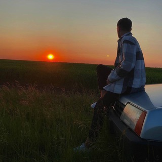 Логотип телеграм канала @stdanik31 — Каморка St_danika