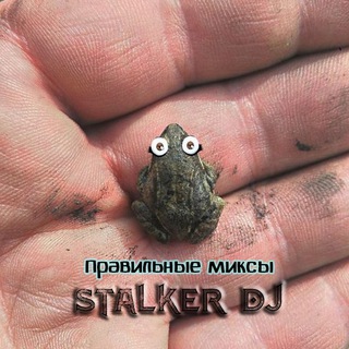 Логотип телеграм канала @stdjru — stdjru stalker_dj сэты разных волшебных звучаний. собрано и смикшировано