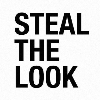 Logo of telegram channel stealthelook — STEAL THE LOOK