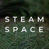 Логотип телеграм канала @steam_space — STEAM SPACE