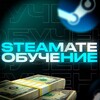 Логотип телеграм канала @steamate_prod — STEAMATE | Обучение