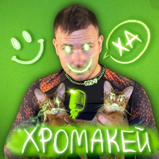 Логотип телеграм канала @stedap — ХРОМАКЕЙ по фану