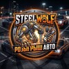 Логотип телеграм канала @stee1wol1f2 — SteelWolf Розыгрыш авто
