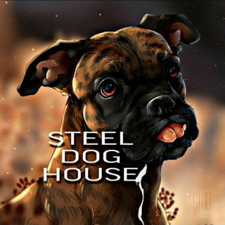 Логотип телеграм канала @steeldoghouse — STEEL.DOG.HOUSE🤙