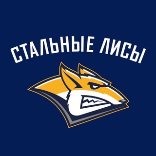 Логотип телеграм канала @steelfoxesmgn — МХК «Стальные Лисы»