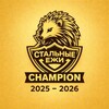 Логотип телеграм канала @steelhedgehogs — ХК «Стальные Ежи»