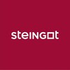 Logo of telegram channel steingot — STEINGOT